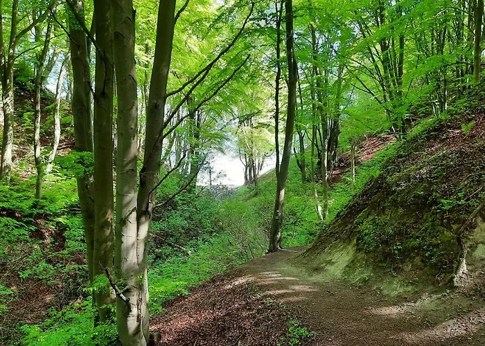 Apartdomek41 Morska Przystan, Sauna - Prestiz Dla Wymagajacych *